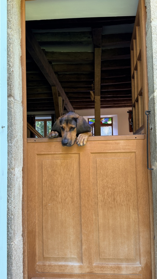 Who's there?