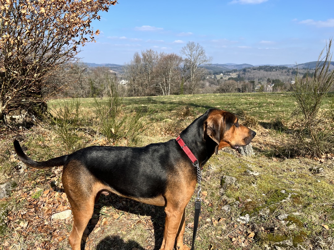 On patrol.