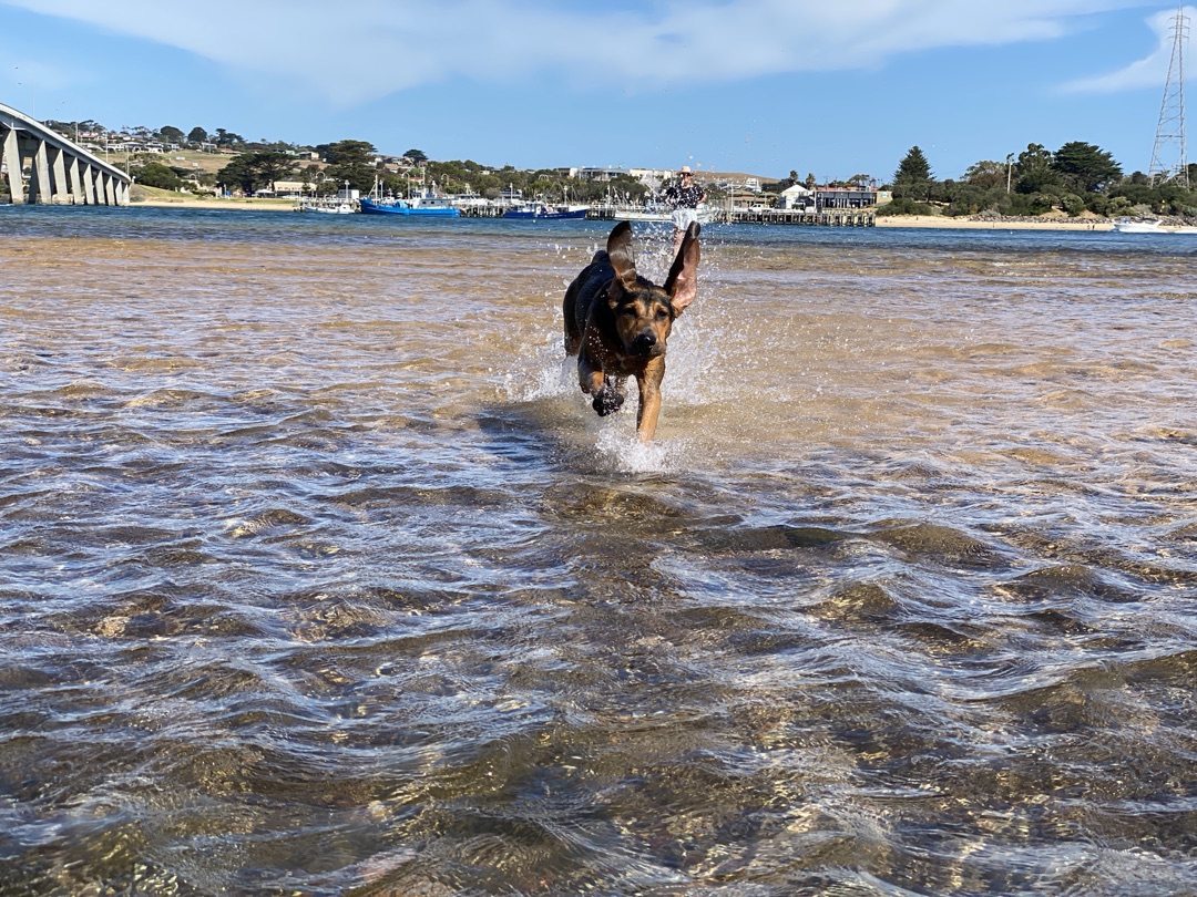 Beach sprints.