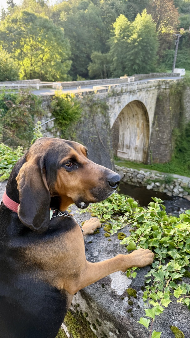 Exploring the village.